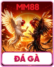 đá gà mm88