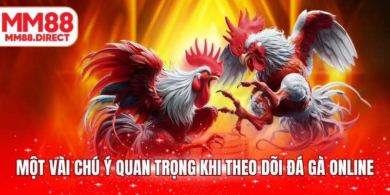 Một vài chú ý quan trọng khi theo dõi đá gà online
