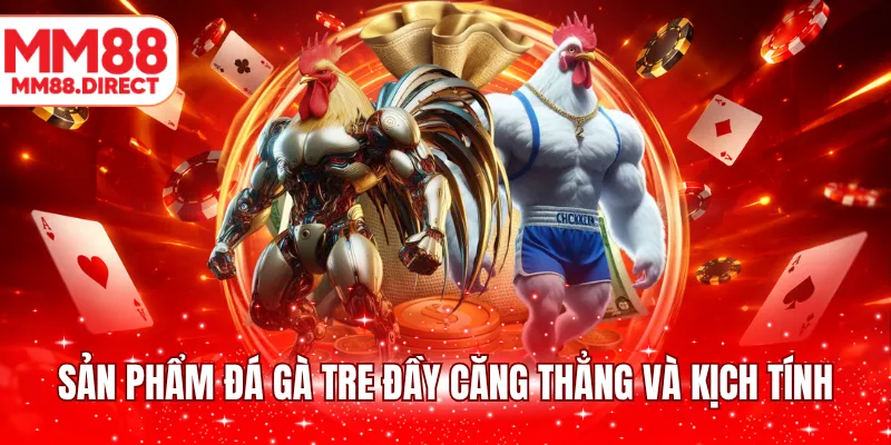 Sản phẩm đá gà tre đầy căng thẳng và kịch tính